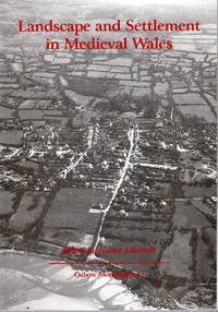 Landscape and Settlement in Medieval Wales (Oxbow Monographs)