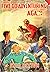 Five Go Adventuring Again (Famous Five #2)