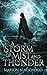 A Storm of Mist and Thunder (The Oncoming Storm, #5)