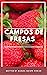 Campos de Fresa by Gilber Manuel Quispe Cobian