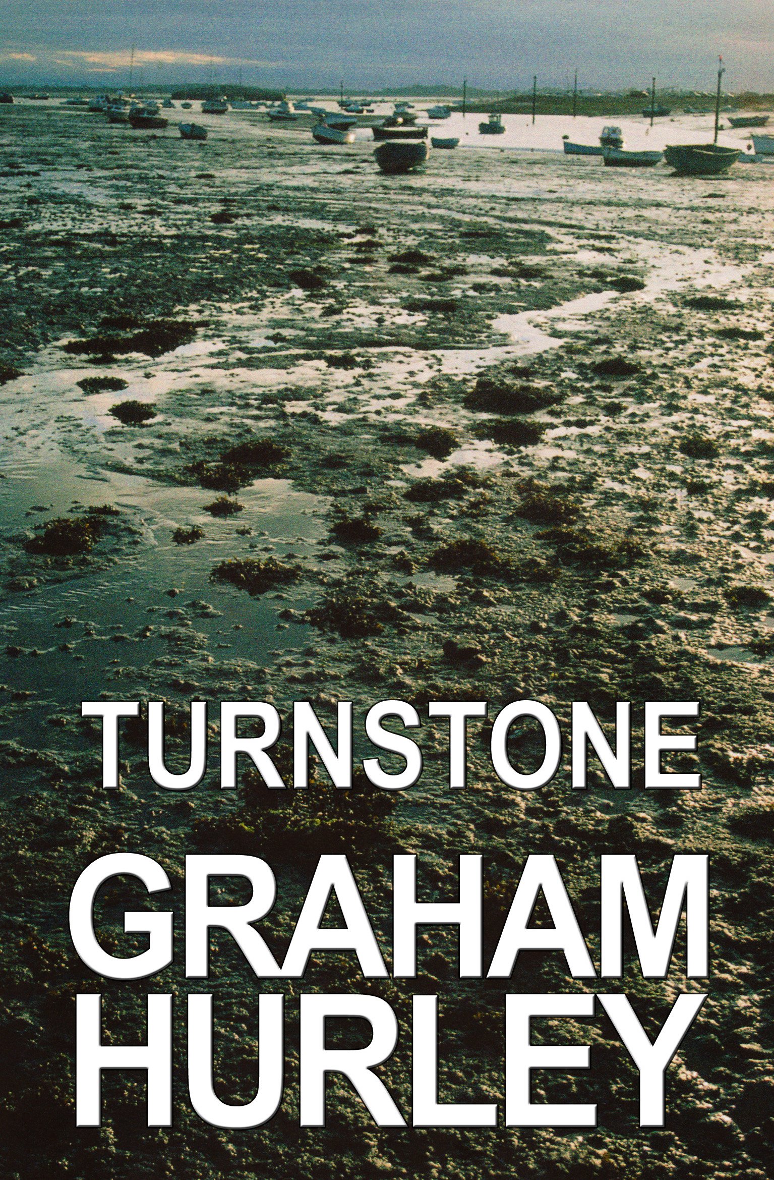 Turnstone