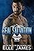 SEAL Salvation by Elle James