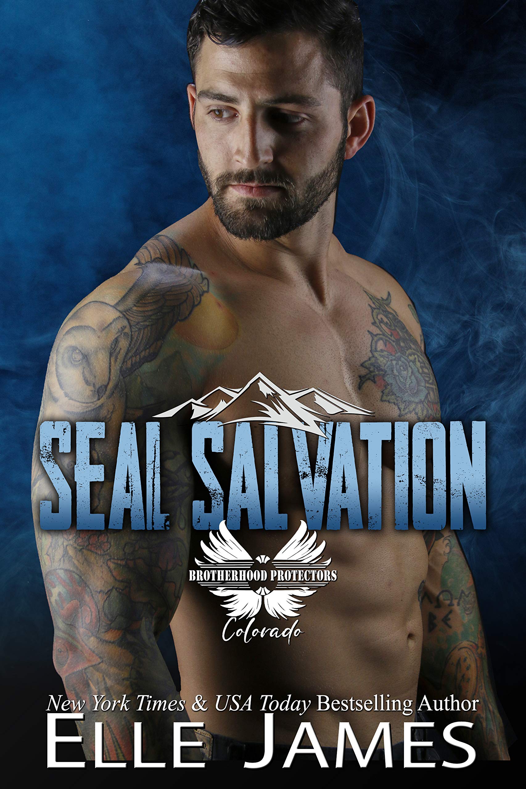 SEAL Salvation (Brotherhood Protectors: Colorado #1)