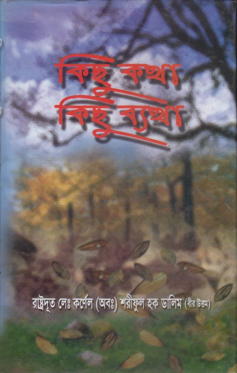 কিছু কথা কিছু ব্যথা