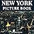 New York Picture Book: 100 ...