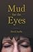 Mud for the Eyes by David Antilla
