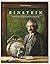 Einstein, De fantastische reis van een muis door ruimte en tijd by Torben Kuhlmann