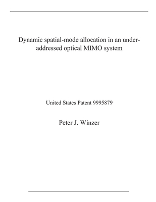 Dynamic spatial-mode allocation in an under-addressed optical MIMO system: United States Patent 9995879