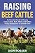 Raising Beef Cattle: An Essential Guide to Raising Cows, Calves, Bulls, Steers and Heifers in Your Backyard or on a Small Farm (Raising Livestock)