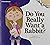 Do You Really Want a Rabbit? (Riverstream Illustrated Readers, Level 2)