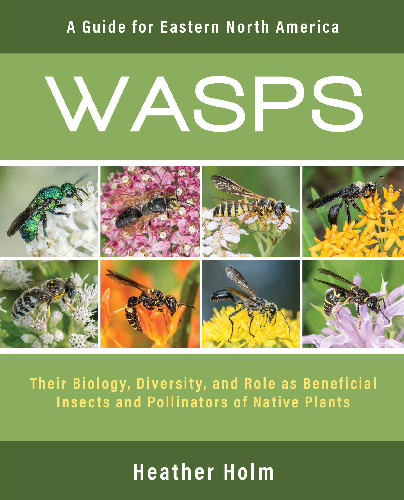 Wasps: Their Biology, Diversity, and Role as Beneficial Insects and Pollinators of Native Plants (Hardcover)