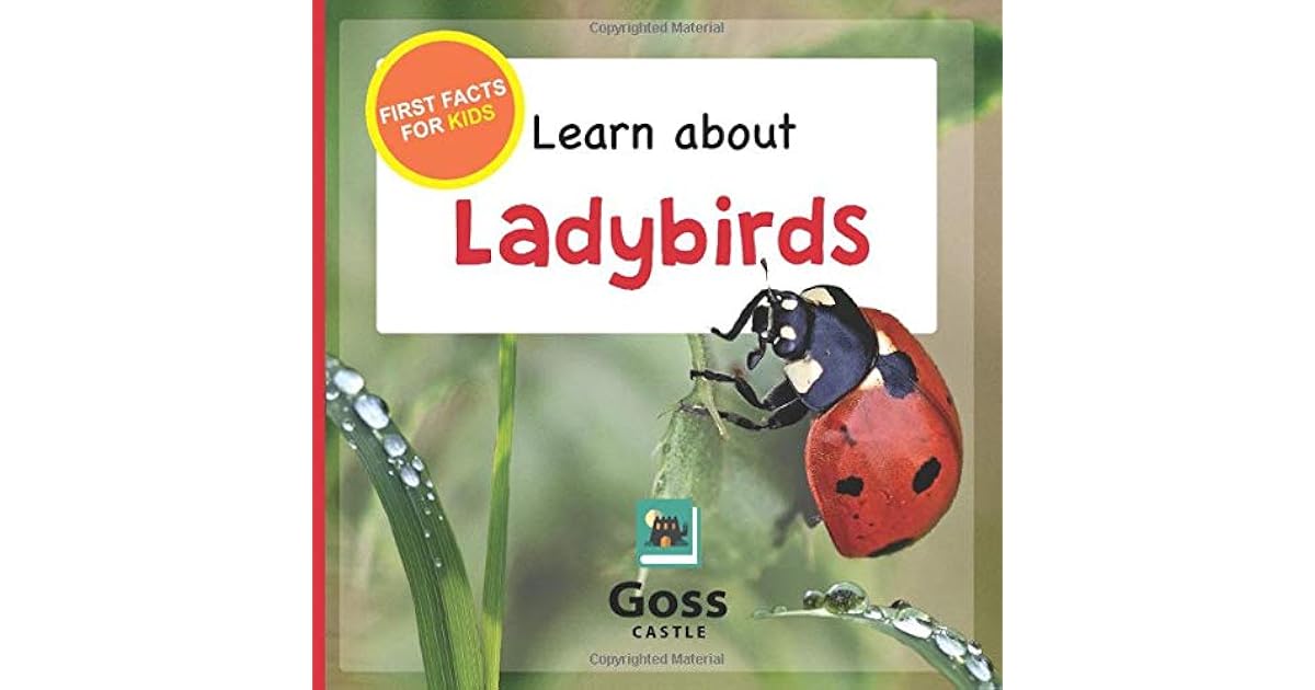 Learn About Ladybirds First Facts For Kids By Goss Castle