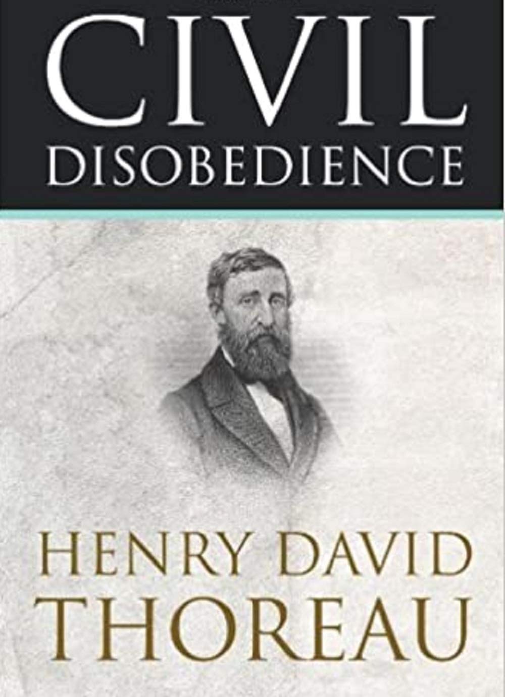 Civil Disobedience Illustrated
