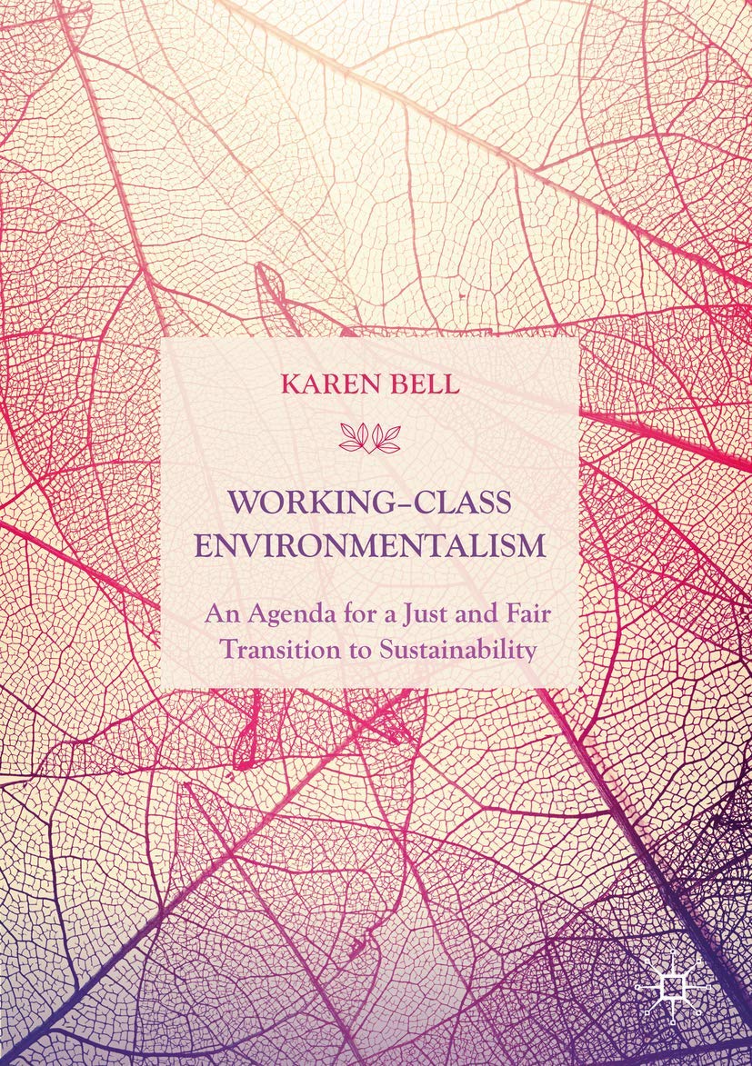 Working-Class Environmentalism: An Agenda for a Just and Fair Transition to Sustainability (Paperback)