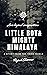 LITTLE BOY AND MIGHTY HIMALAYA