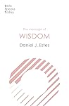 The Message of Wisdom: Learning and Living The Way of The Lord (The Bible Speaks Today Themes)