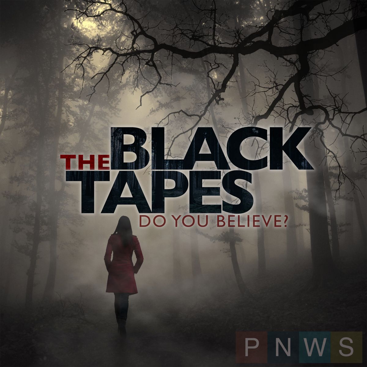 The Black Tapes (Podcast)