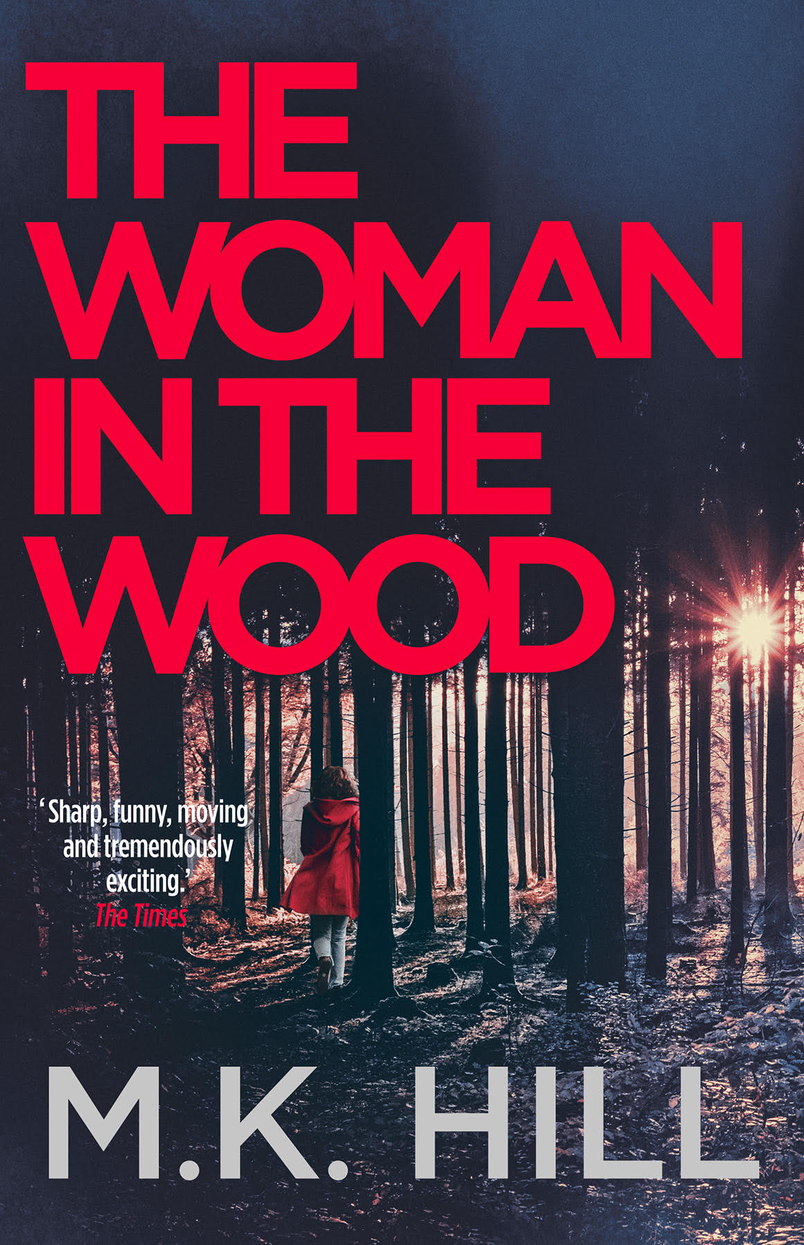 The Woman in the Wood (DI Sasha Dawson #2)