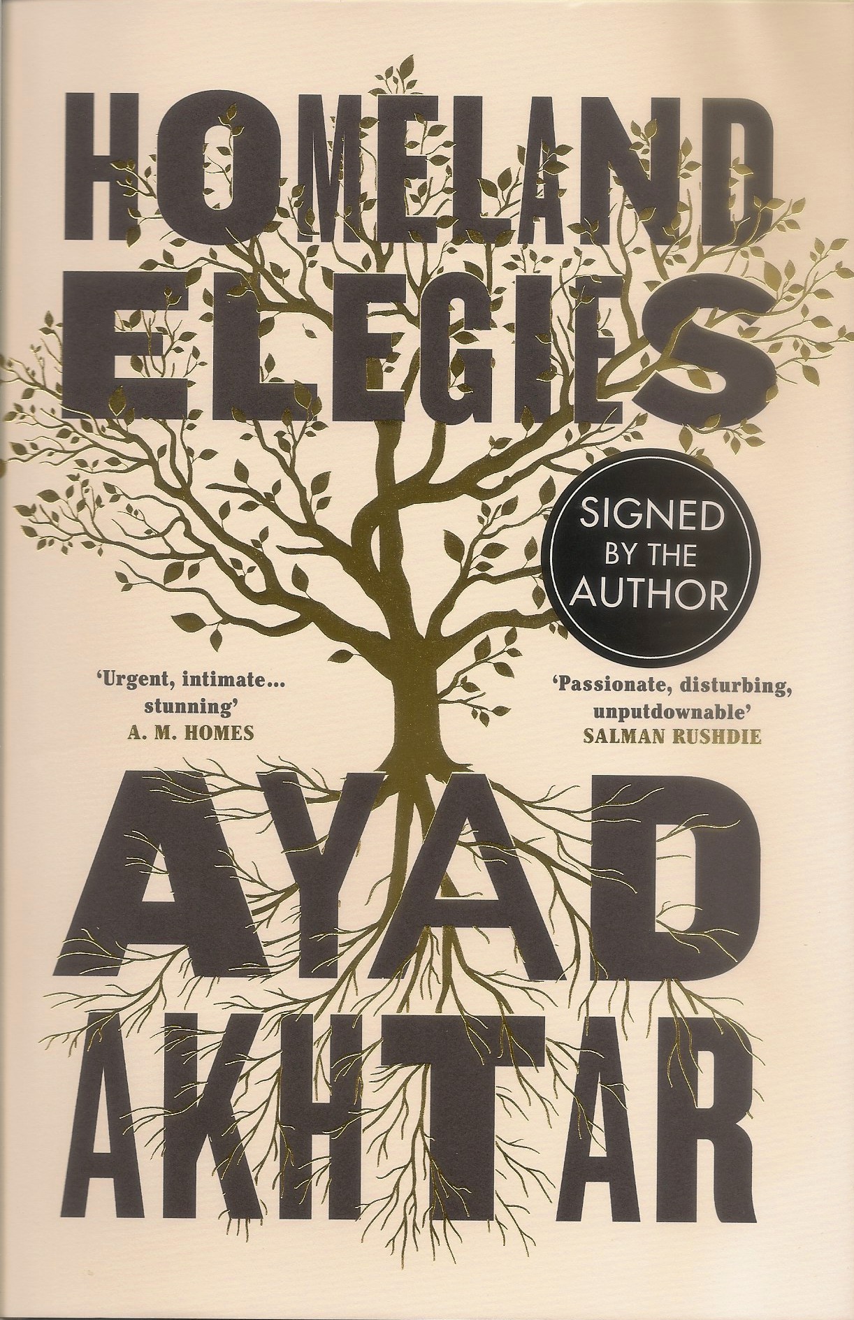 Homeland Elegies