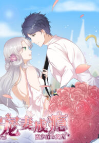 Pampered Mr. Lu's Wife and Fateful Meeting (Unknown Binding)