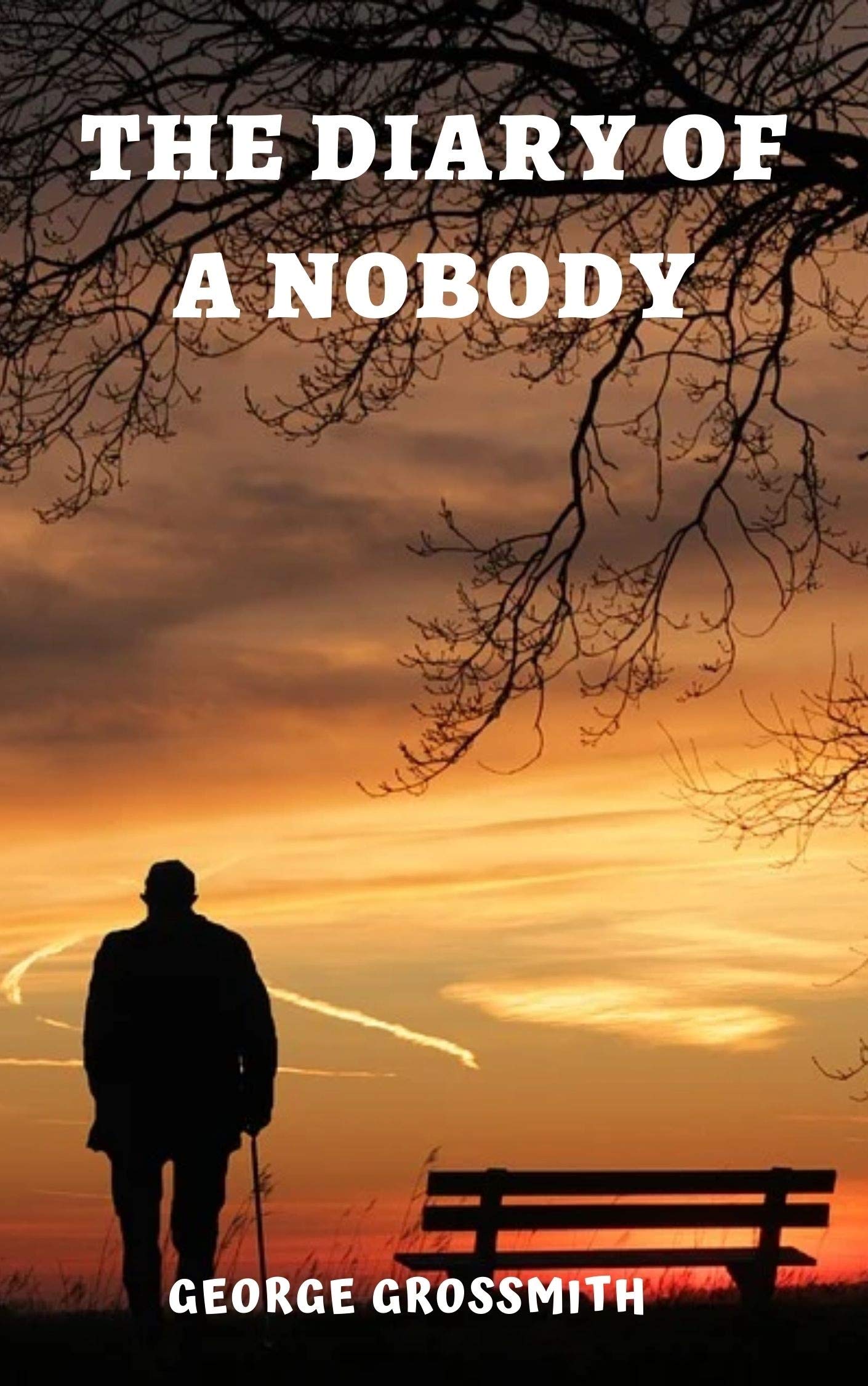 The Diary of a Nobody