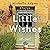 Little Wishes: A Novel