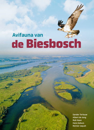 Avifauna van de Biesbosch