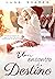 Um Encontro do Destino (LIVRO ÚNICO)