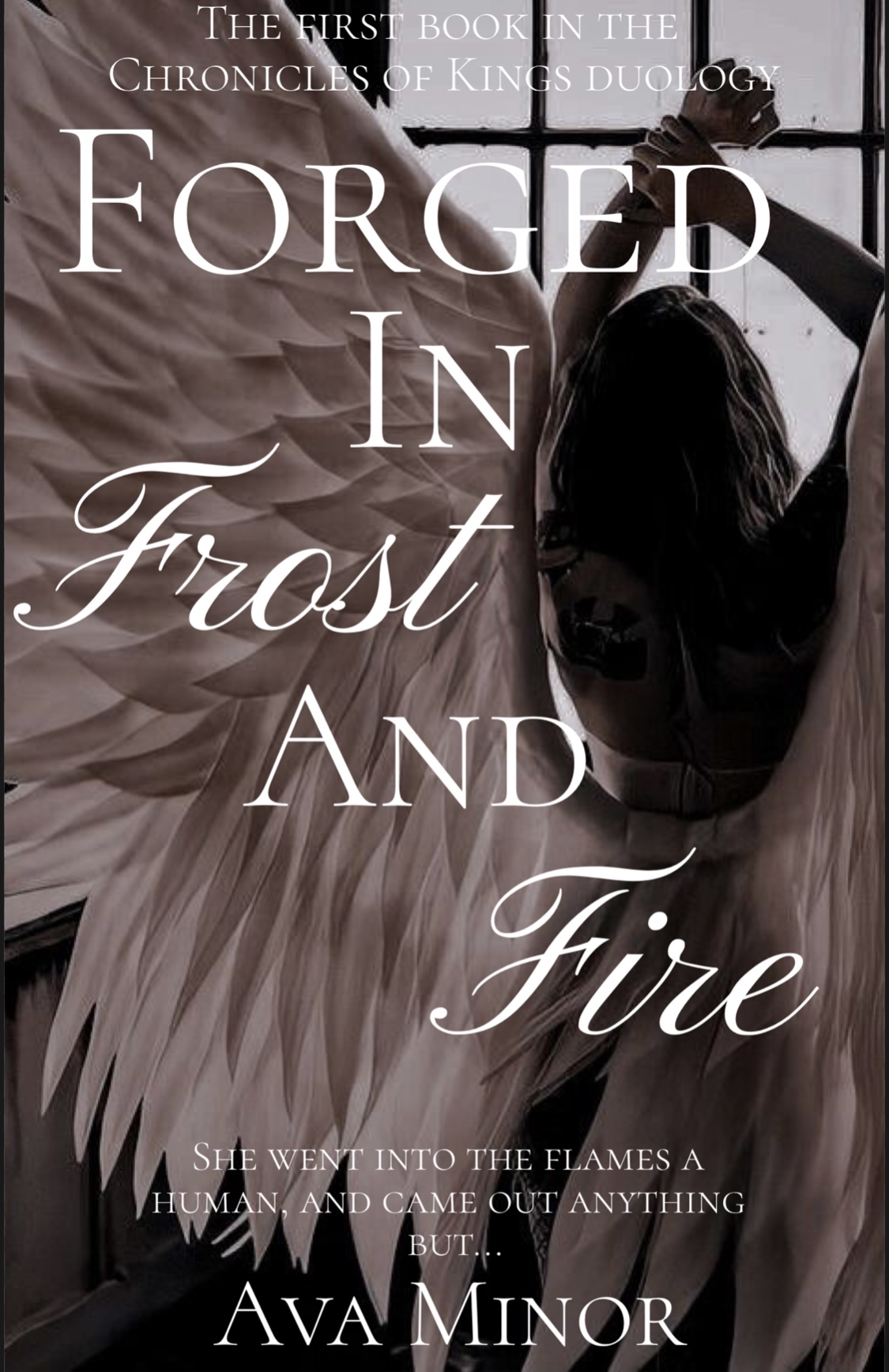 Forged in Frost and Fire (Chronicles of Kings, #1)