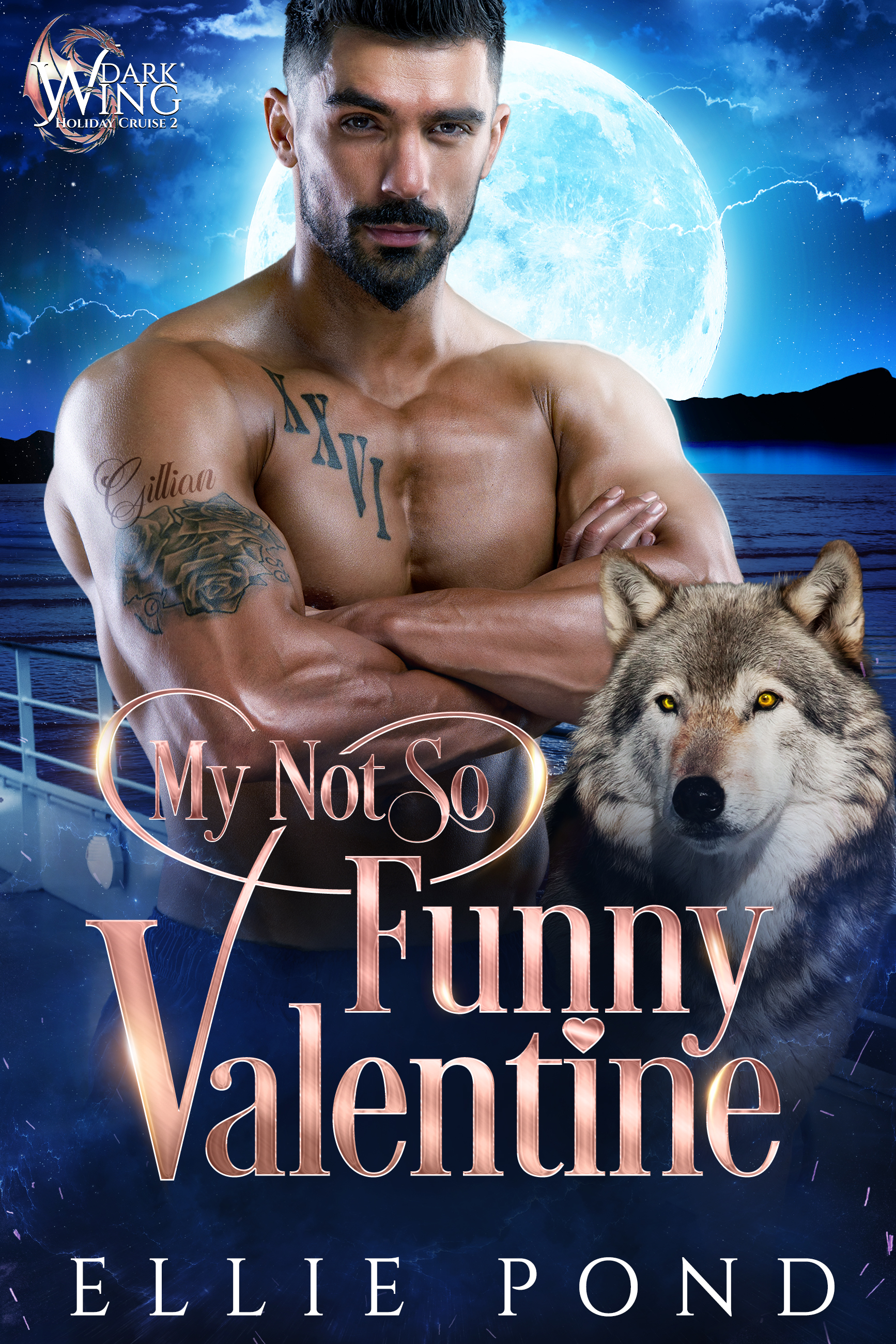 My Not So Funny Valentine (Dark Wing Paranormal Holiday Cruise, #2)