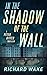 In the Shadow of the Wall (...