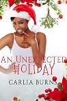 An Unexpected Holiday (A Holiday Snack) Book cover for An Unexpected Holiday (A Holiday Snack)