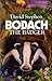Bodach the Badger by David Stephen