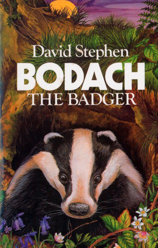 Bodach the Badger (Paperback)
