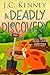 A Deadly Discovery (Allie Cobb Mystery, #4)