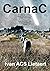 Carnac: A stone age adventu...
