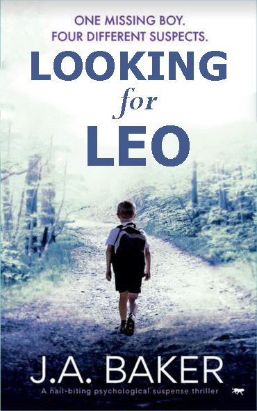 Looking for Leo (Paperback)