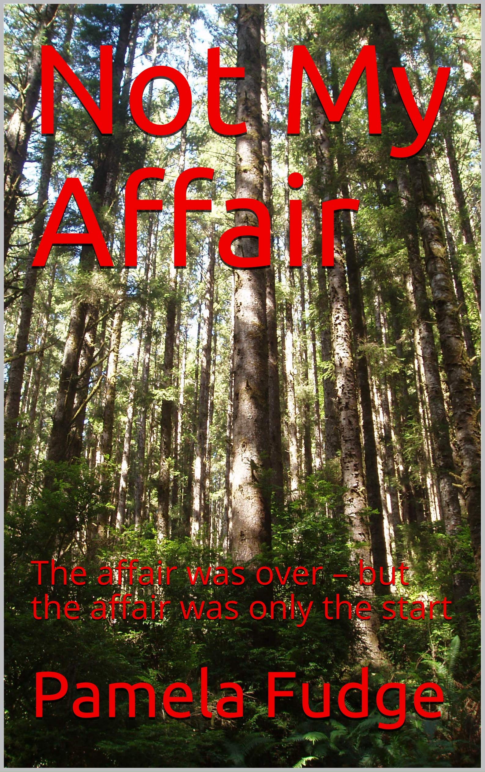 Not My Affair: The affair was over – but the affair was only the start (Kindle Edition)