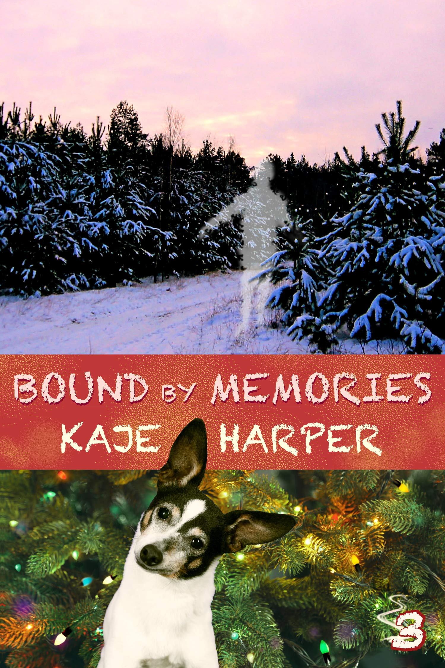 Bound by Memories (Necromancer, #3)