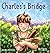 Charles's Bridge by Sandra Novacek