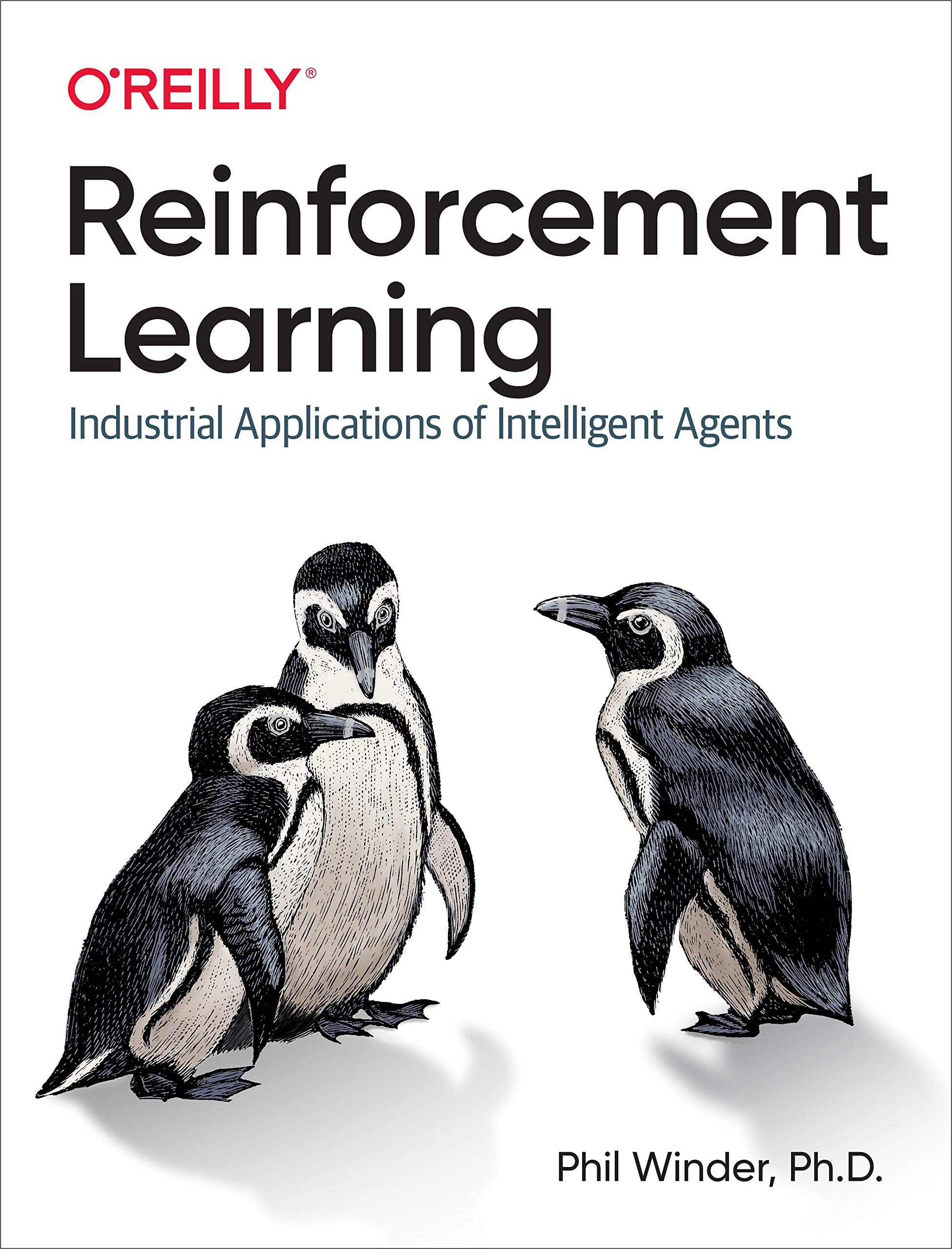 Reinforcement Learning: Industrial Applications of Intelligent Agents (Kindle Edition)