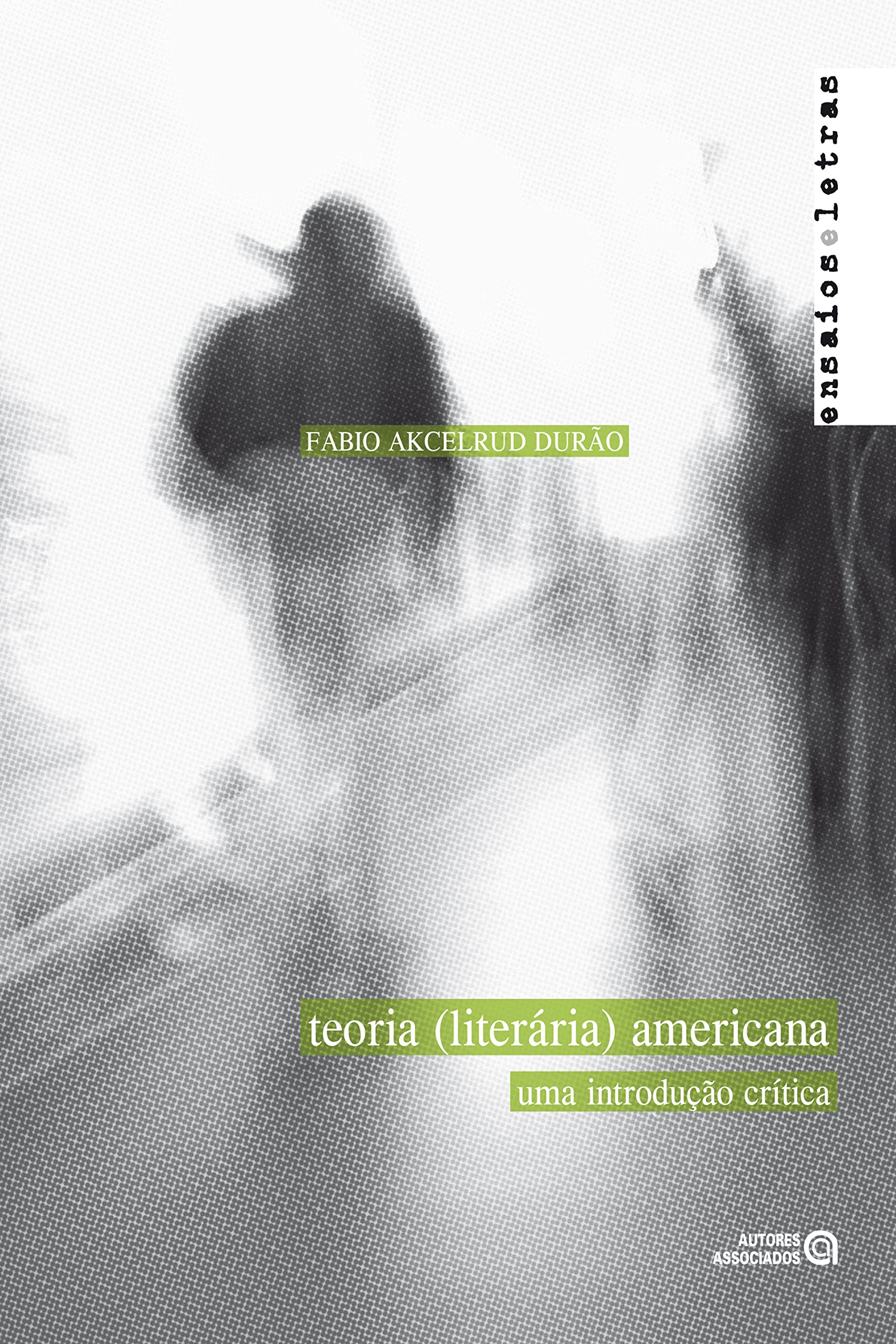 Teoria (literária) americana: Uma introdução crítica (Portuguese Edition)
