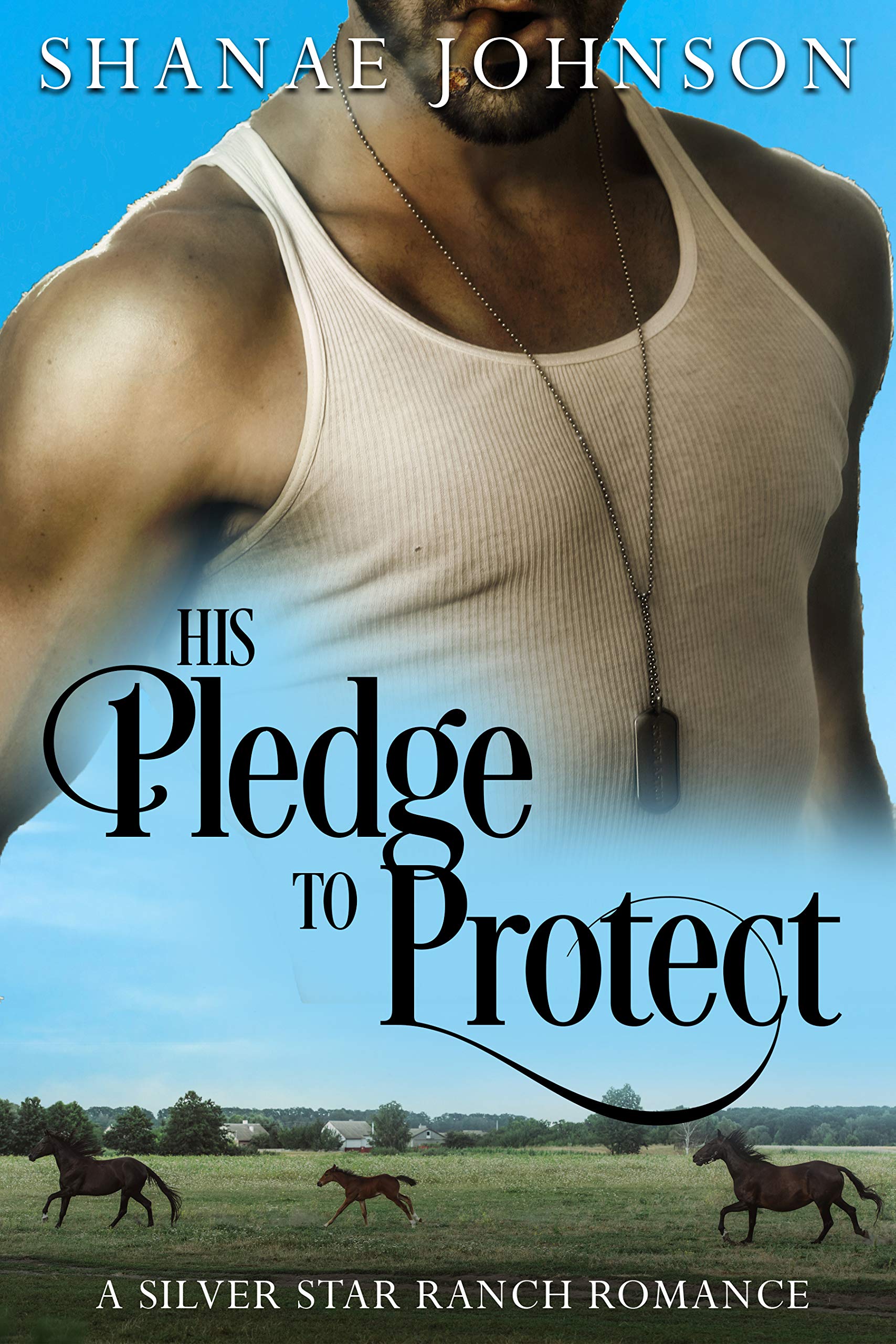 His Pledge to Protect  (The Silver Star Ranch #3)