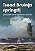 Springtij