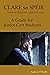 Clare sa Spéir - Masterclass on character, plot and story - A Guide for Junior Cert Students: A Masterclass by Writer/Director Audrey O'Reilly. Includes ... (Audrey O'Reilly Film Masterclasses)