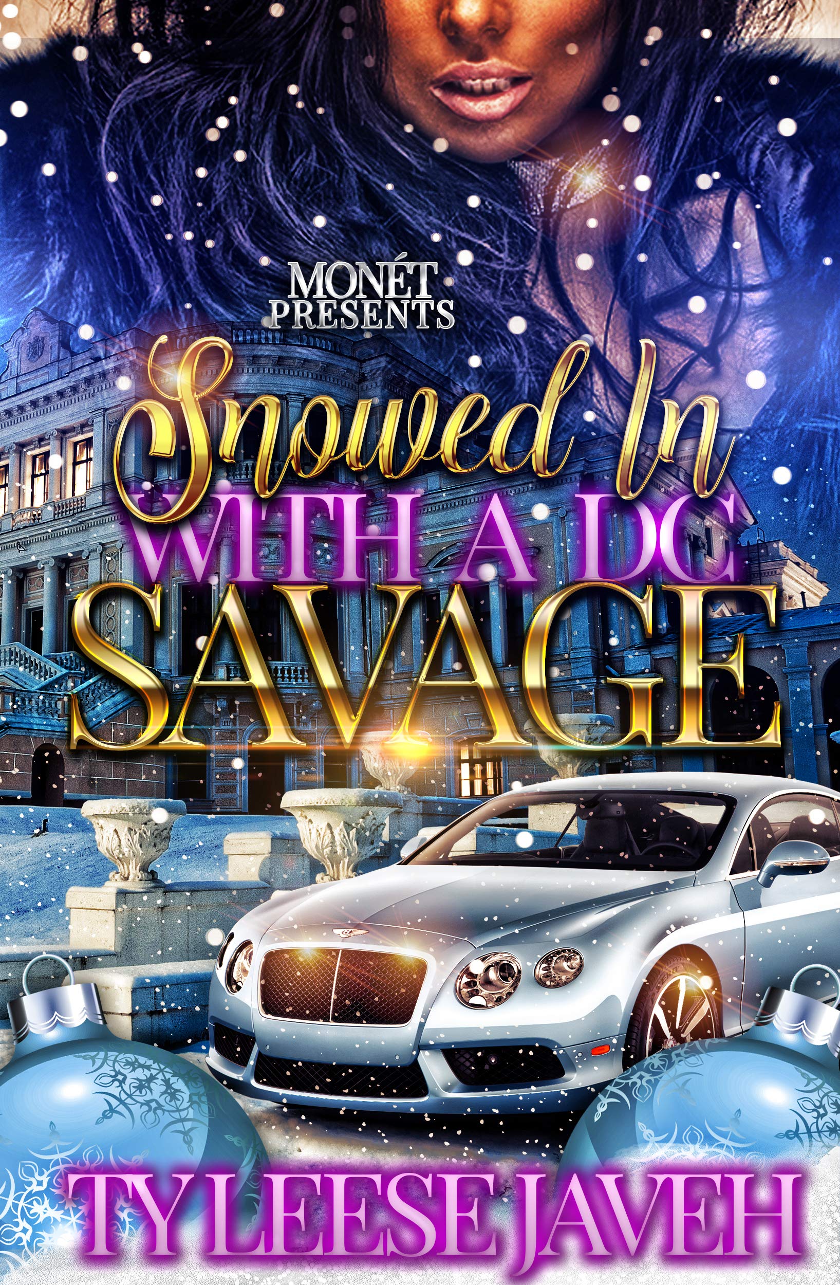 Snowed In With A DC Savage (Kindle Edition)