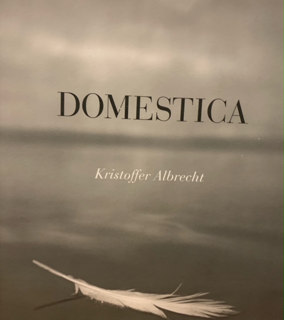Domestica (Hardcover)