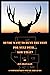 So You Want To Hunt The West For Mule Deer: Now What