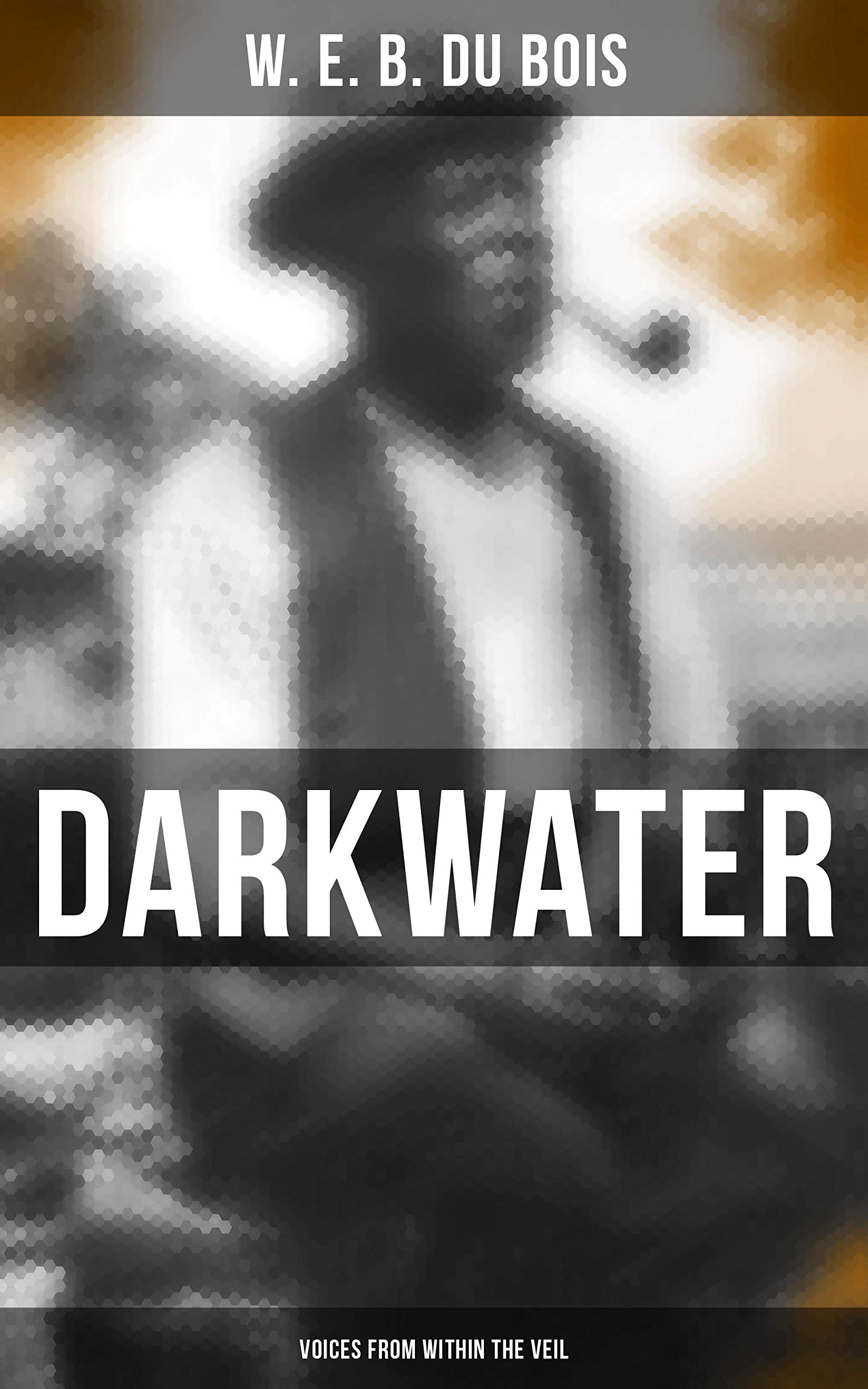 Darkwater - Voices from Within the Veil: Enriched edition.