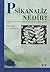 Psikanaliz Nedir?